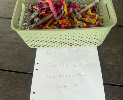 D50_Årjäng6